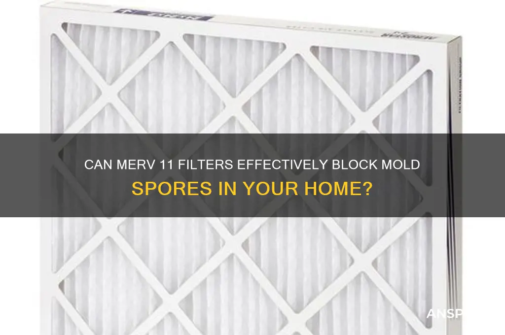 does merv 11 stop mold spores