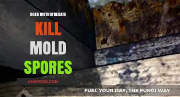 Methotrexate and Mold: Can It Eliminate Spores Effectively?