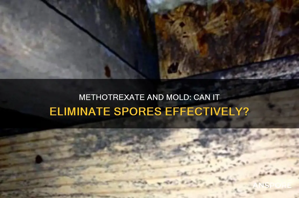 does methotrexate kill mold spores
