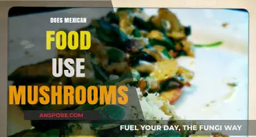 Exploring Mexican Cuisine: Do Mushrooms Play a Role in Traditional Dishes?
