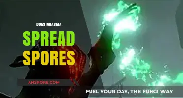 Miasma's Role in Spreading Spores: Unraveling the Myth and Science