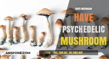 Michigan's Magic Mushroom Mystery: Where to Find Them?