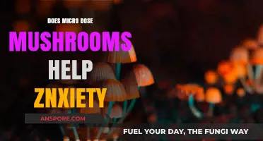 Microdosing Mushrooms: A Natural Remedy for Anxiety?