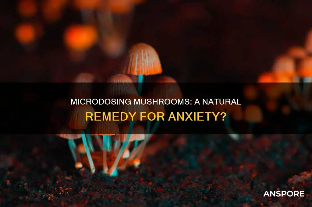 does micro dose mushrooms help znxiety