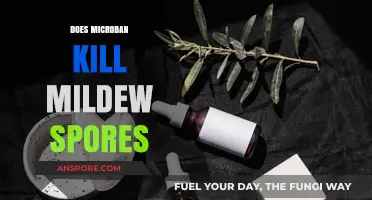 Microban's Mildew-Fighting Power: Can It Eliminate Stubborn Spores Effectively?