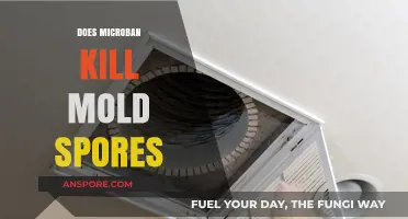 Microban's Effectiveness: Can It Eliminate Mold Spores in Your Home?
