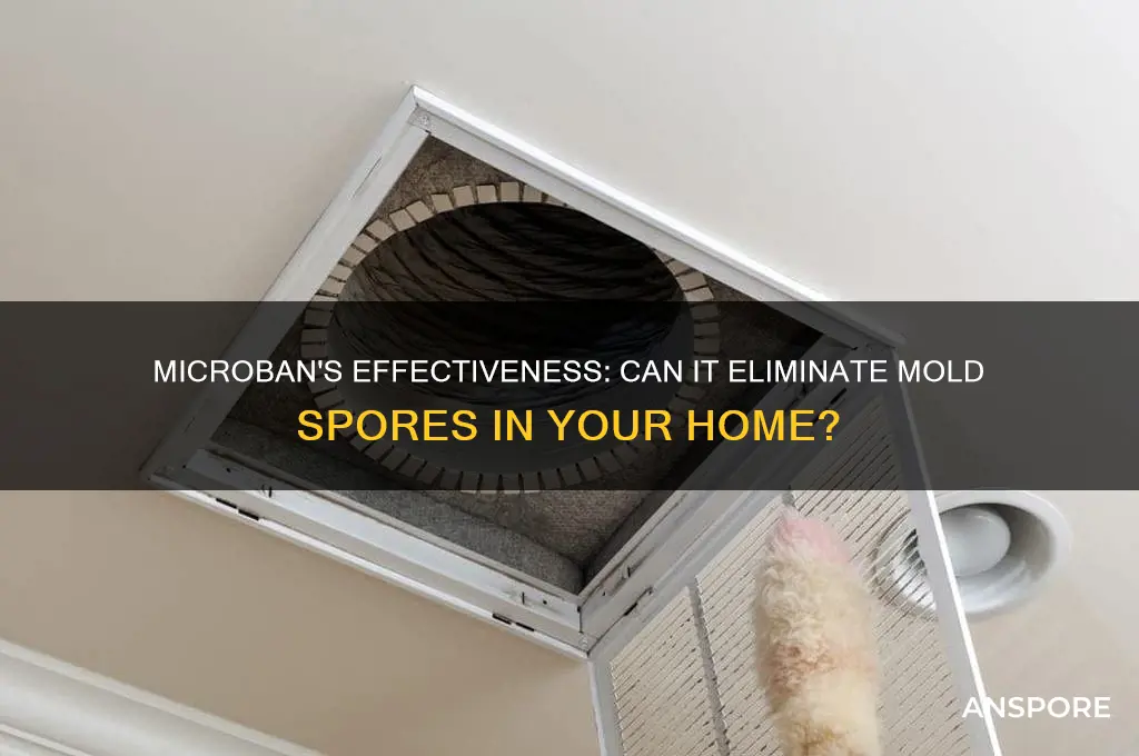 does microban kill mold spores