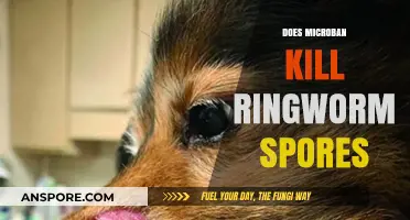 Microban's Effectiveness Against Ringworm Spores: A Comprehensive Analysis