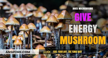 Microdosing Magic Mushrooms: A Natural Energy Boost?