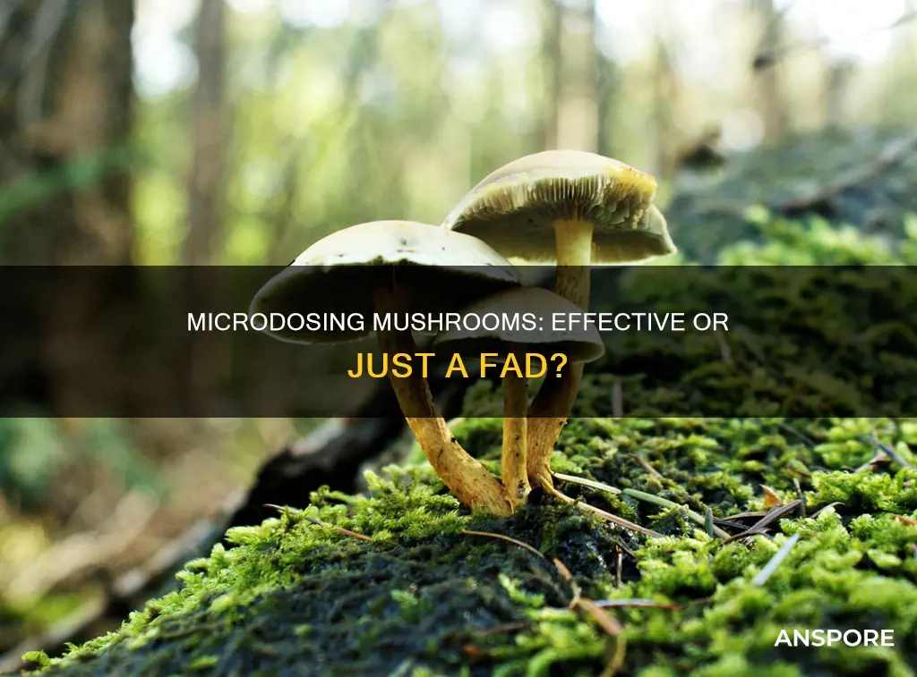 does microdosing mushrooms actually work