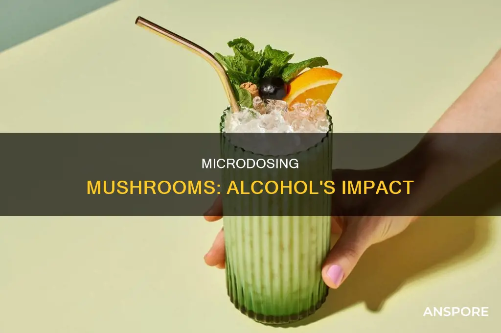 does microdosing mushrooms and mixing alcohol intensify it