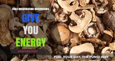Microdosing Mushrooms: Natural Energy Boost or Myth?