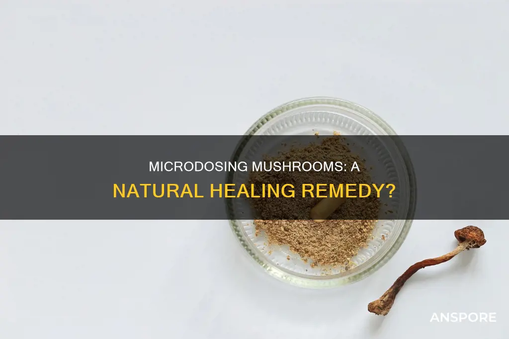 does microdosing mushrooms heal you