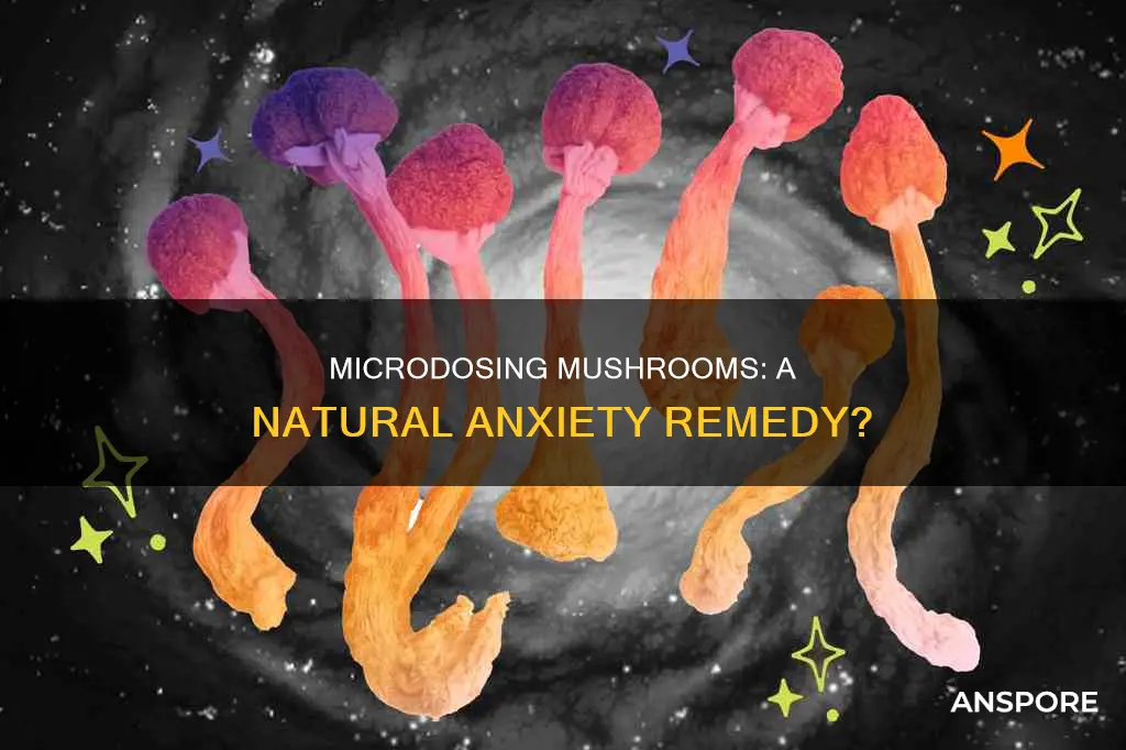 does microdosing mushrooms help anxiety