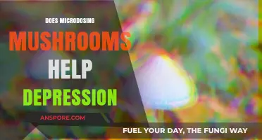 Microdosing Mushrooms: A Natural Remedy for Depression?