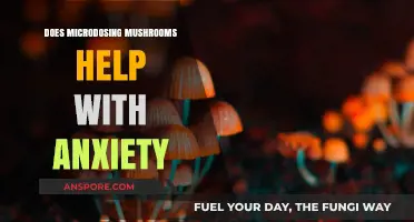 Microdosing Mushrooms for Anxiety: Potential Benefits and Risks Explored
