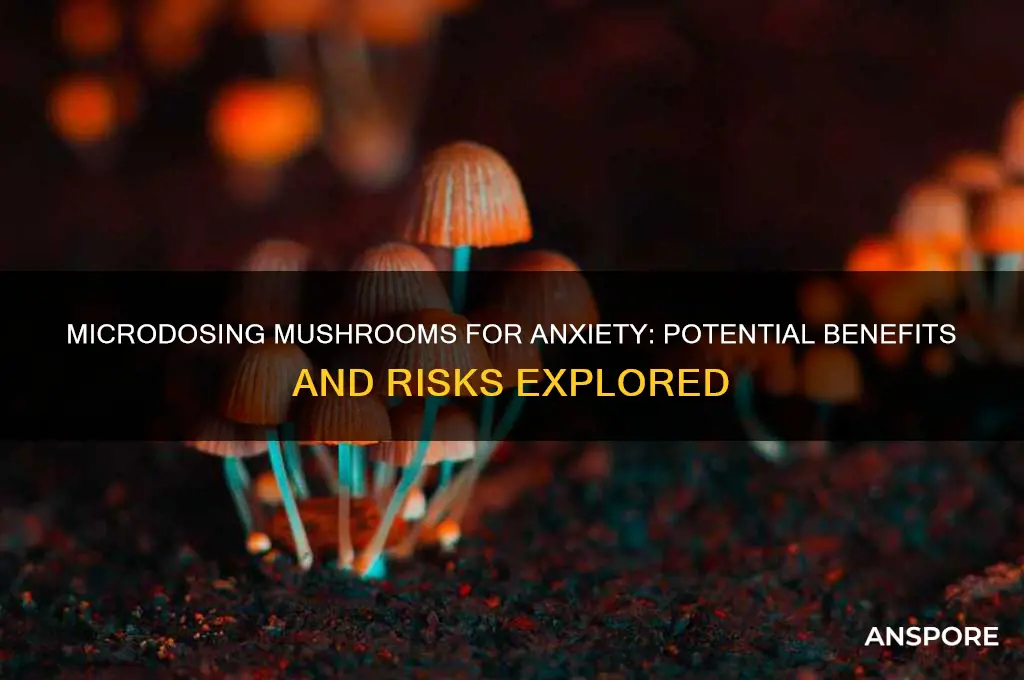 does microdosing mushrooms help with anxiety