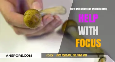 Microdosing Mushrooms: A Focus-Enhancing Superpower?
