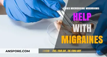 Microdosing Mushrooms: Migraine Miracle or Myth?