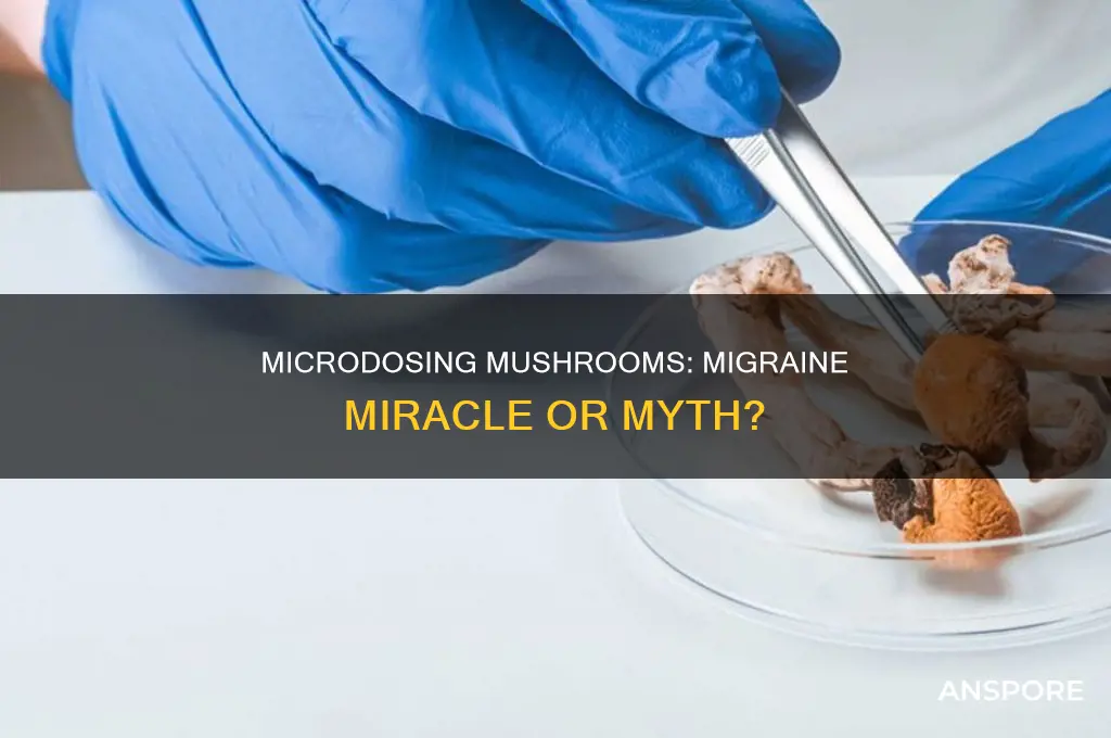 does microdosing mushrooms help with migraines