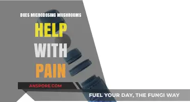 Microdosing Mushrooms: Natural Pain Relief?