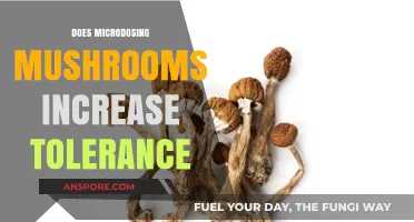 Microdosing Mushrooms: Tolerance and Its Impact