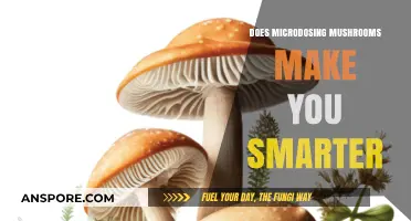 Microdosing Mushrooms: Unlocking Cognitive Potential or Just a Myth?