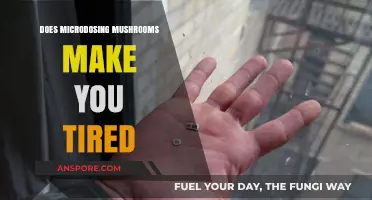 Microdosing Mushrooms: Does It Cause Fatigue or Boost Energy?