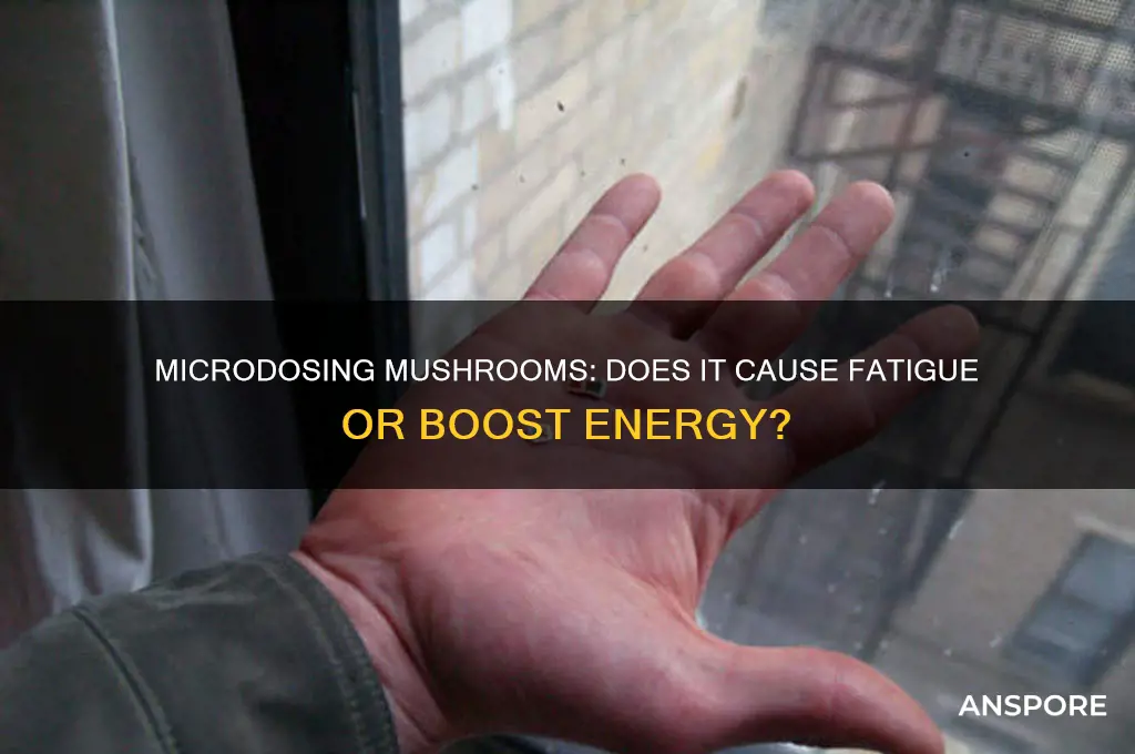 does microdosing mushrooms make you tired