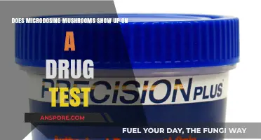 Microdosing Mushrooms: Will You Fail a Drug Test?