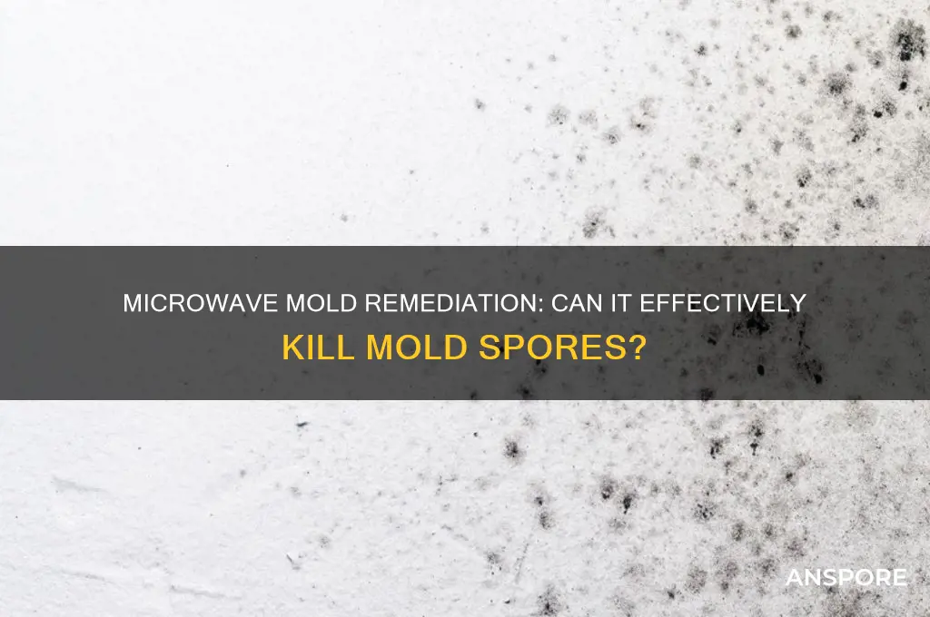 does microwave kill mold spores