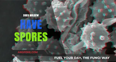 Understanding Mildew: Do These Common Fungi Release Airborne Spores?