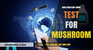 Mushroom Use: Military Drug Testing Protocols