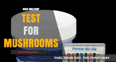 Mushroom Use: Military Drug Testing Procedures