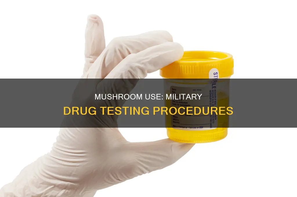 does military test for mushrooms