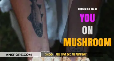 Milk and Magic Mushrooms: A Calming Combo?