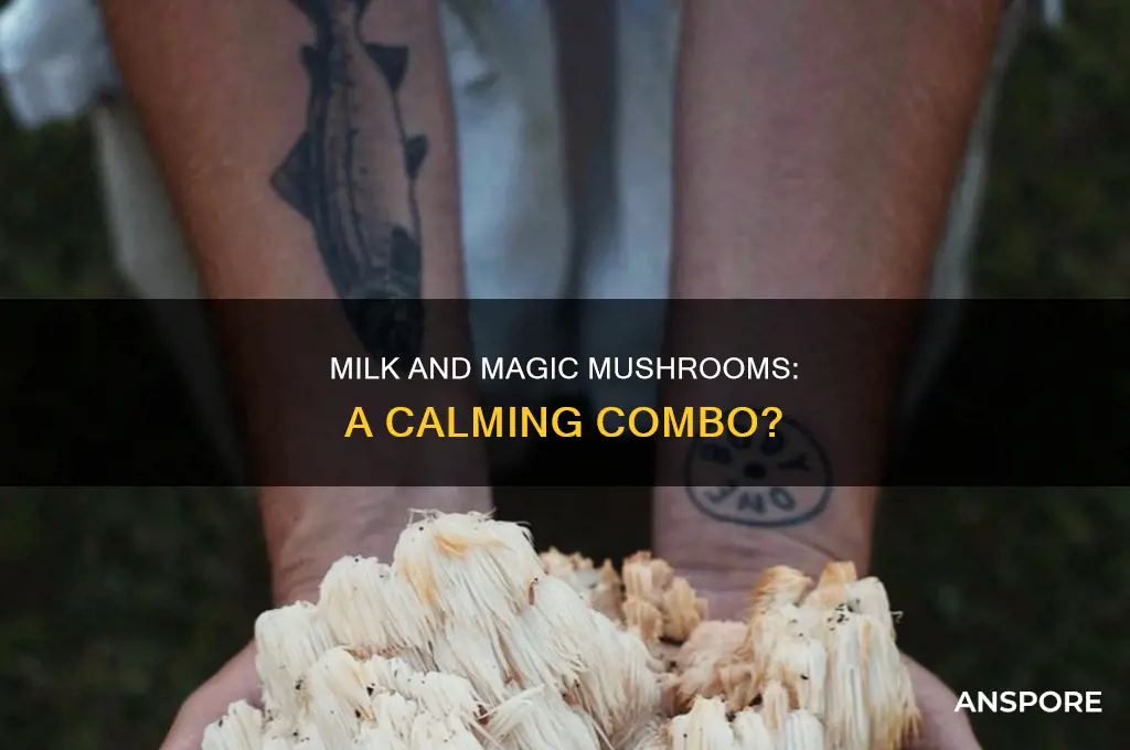 does milk calm you on mushrooms