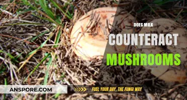 Mushroom Consumption: Milk's Impact and Interaction