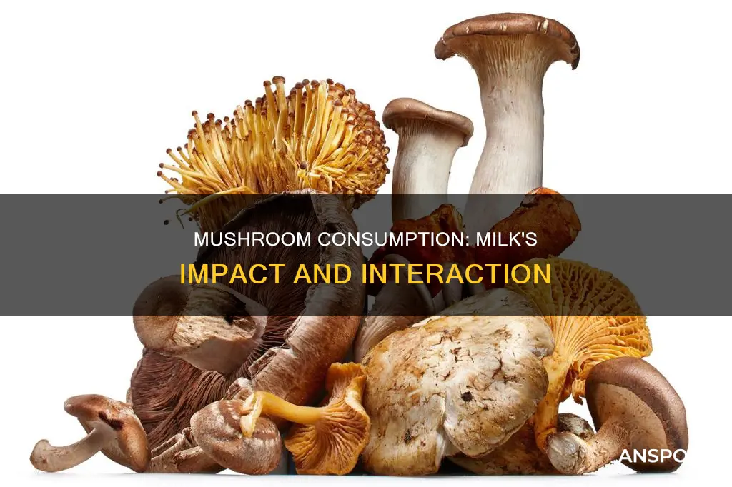 does milk counteract mushrooms