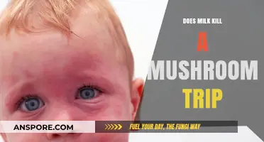 Milk and Mushrooms: A Trip Killer?