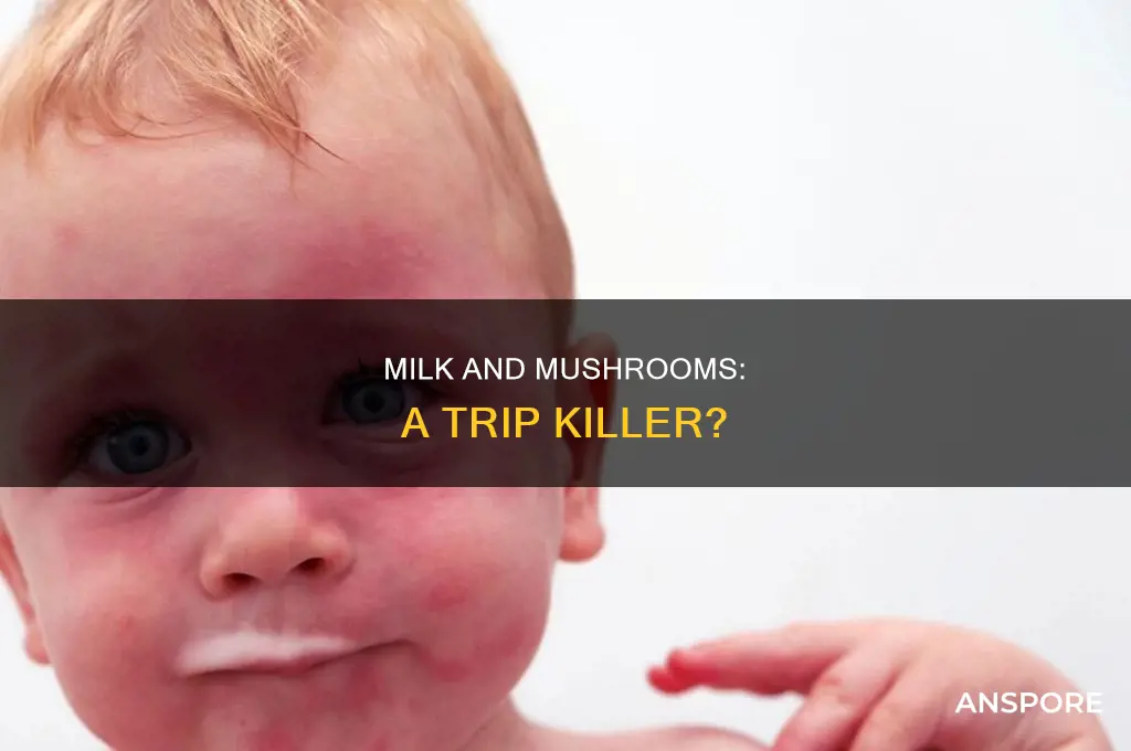 does milk kill a mushroom trip