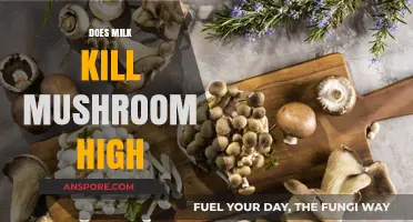 Does Milk Really Kill a Mushroom High?