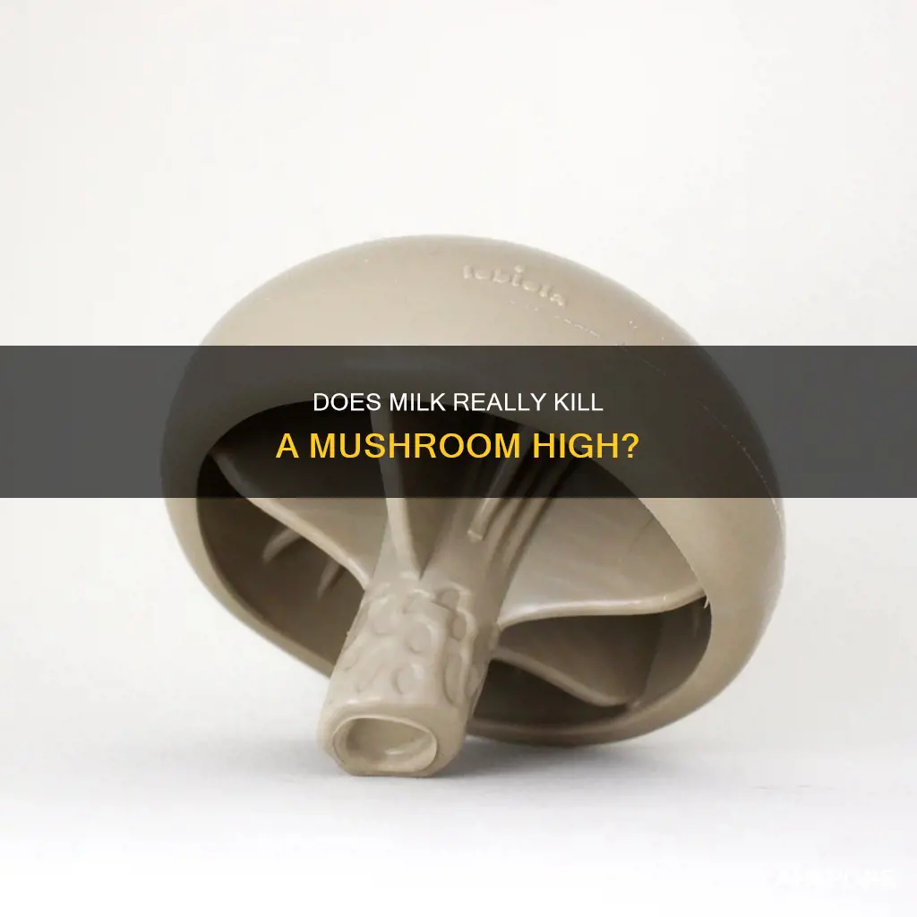 does milk kill mushroom high