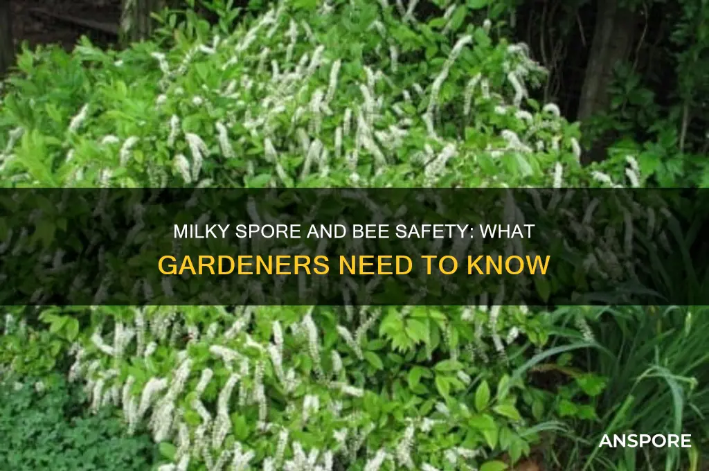 does milky spore harm bees