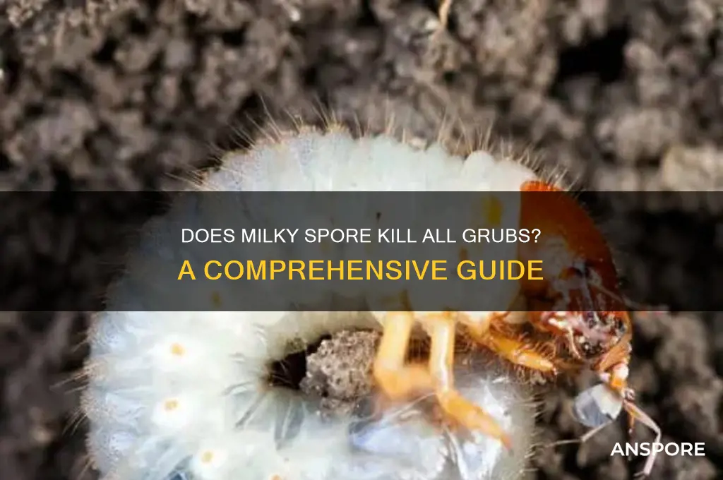 does milky spore kill all grubs