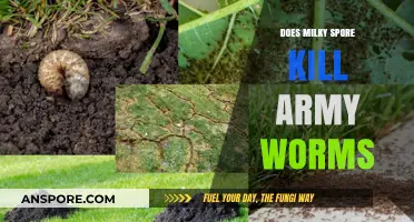 Milky Spore vs Armyworms: Effective Control or Myth?