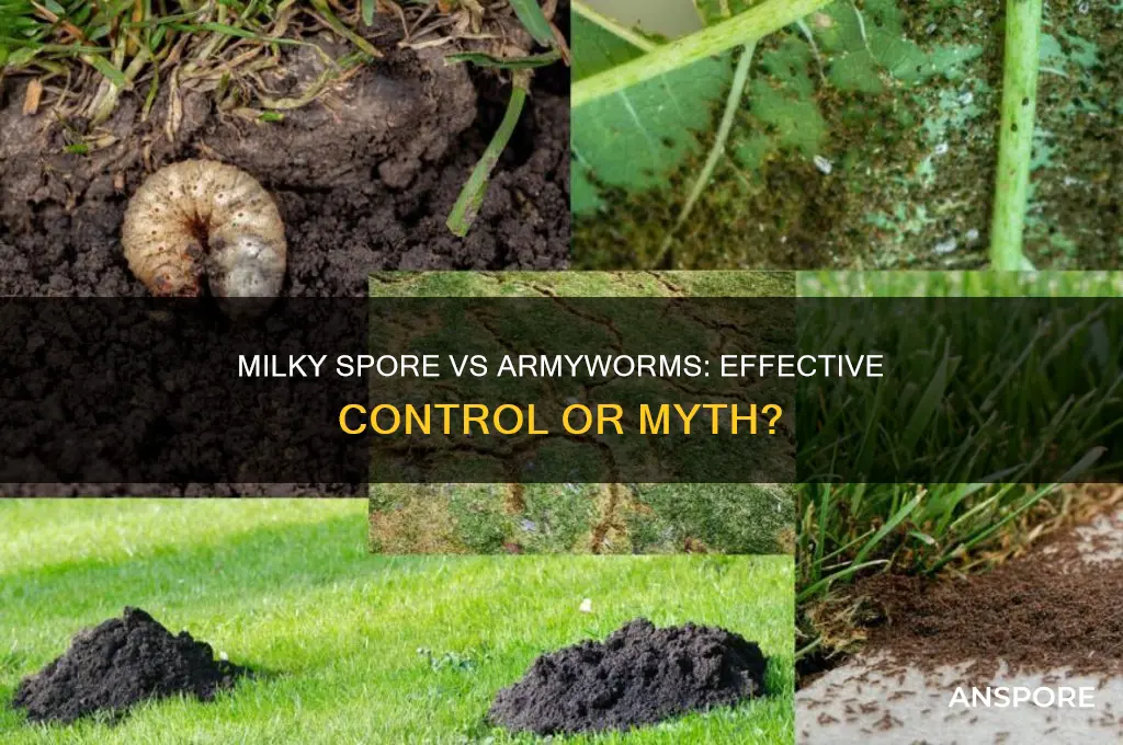 does milky spore kill army worms