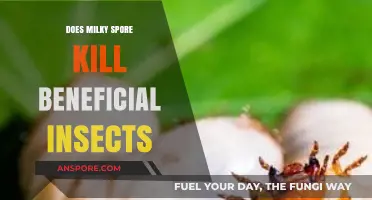 Milky Spore's Impact: Does It Harm Beneficial Garden Insects?