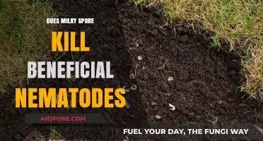 Milky Spore vs. Beneficial Nematodes: Impact on Soil Ecosystems