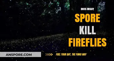Milky Spore's Impact on Fireflies: Uncovering the Truth